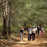 Hotel Ayka Vital Park (adults Only) Antalya