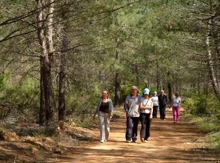 Hotel Ayka Vital Park (adults Only) Duacı