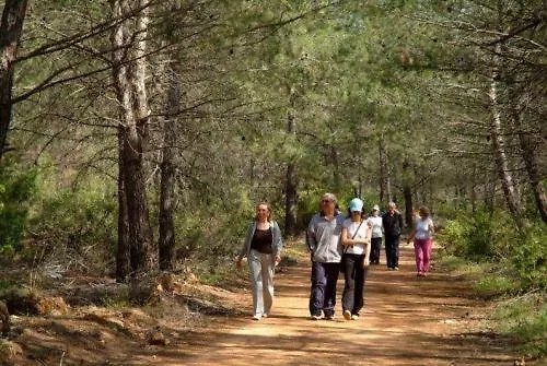 Szálloda Ayka Vital Park (adults Only) Antalya